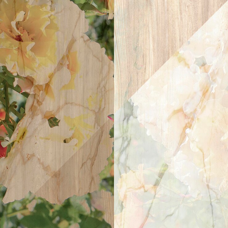 Stampa su Tela vs Carta