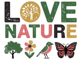 Stampe d'arte ispirate alla natura