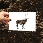 Stampe d'arte per il benessere