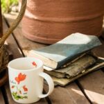 Still Life e Oggetti Quotidiani