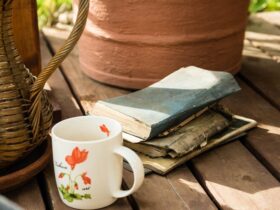 Still Life e Oggetti Quotidiani