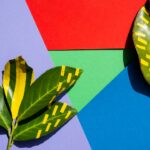 Tecniche di Stampa Ecologiche