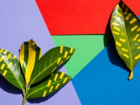 Tecniche di Stampa Ecologiche