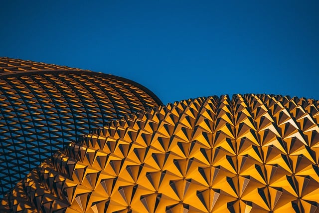 Dürer nell'arte contemporanea