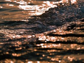 Luce e ombra nella pittura