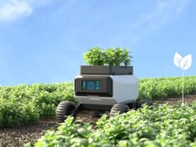 Robot da Giardino sull'Ergonomia del Lavoro di Giardinaggio