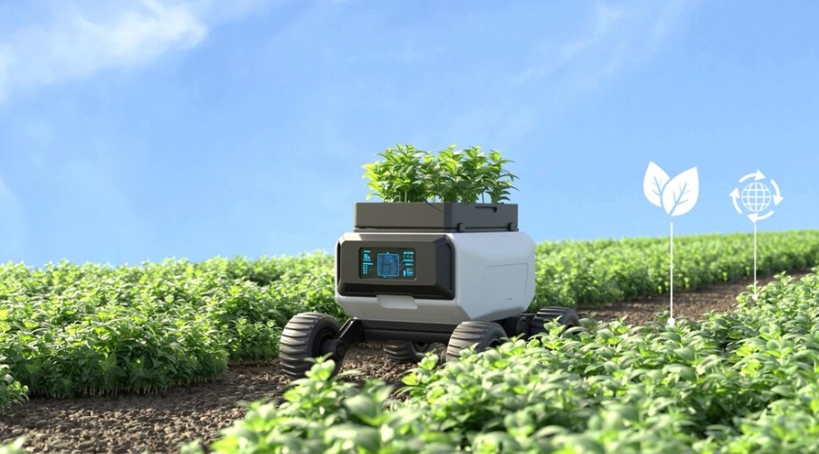 Robot da Giardino sull'Ergonomia del Lavoro di Giardinaggio