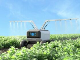 Robot da Giardino sull'Ergonomia del Lavoro di Giardinaggio