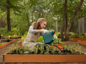 Rendi il Tuo Spazio Esterno un Paradiso