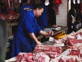 Strategie per l'aumento della consapevolezza sui benefici ambientali dei robot tagliaerbe