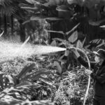 Nuove Tendenze nei Sistemi di Irrigazione per Giardini e Terrazze