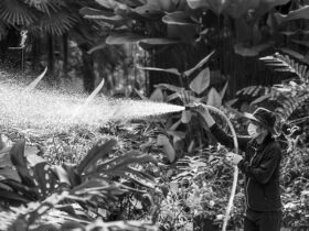 Nuove Tendenze nei Sistemi di Irrigazione per Giardini e Terrazze