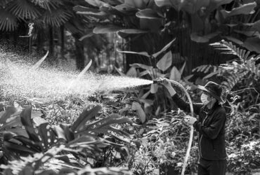 Nuove Tendenze nei Sistemi di Irrigazione per Giardini e Terrazze