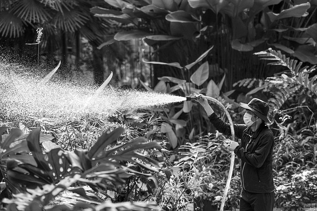 Nuove Tendenze nei Sistemi di Irrigazione per Giardini e Terrazze