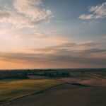 Controllo danni ambientali