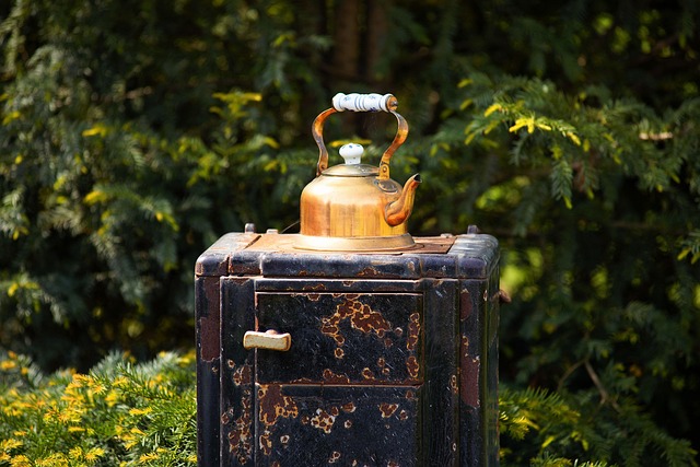 Cattura l'Attenzione con Progetti di Fai-Da-Te Unici e Innovativi