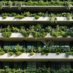 L'Ultima Frontiera del Giardinaggio: Tecnologie Avanzate per il Tuo Pollice Verde