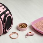 Personalizzare Accessori per Animali