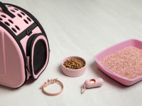 Personalizzare Accessori per Animali