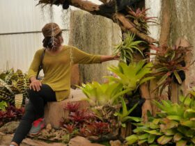 Progetti Fai-Da-Te che Cambieranno il Tuo Spazio