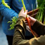 Tecniche di Giardinaggio Sostenibile