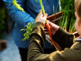 Tecniche di Giardinaggio Sostenibile