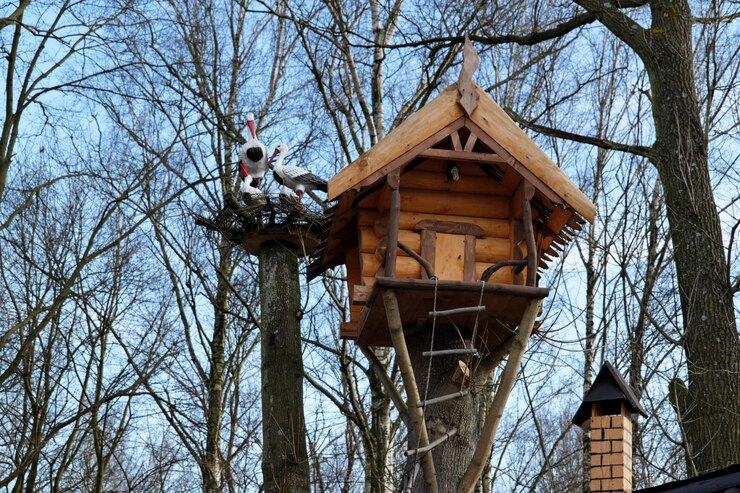 Costruisci il Tuo Rifugio: Tecniche per Creare una Casa sull'Albero