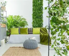 Tutto sulle Piante in Casa: Crea il Tuo Giardino Indoor