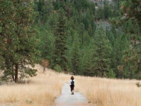 Crea un Percorso da Giardino che Incanta