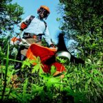 Impatto dei robot tagliaerbe sulla riduzione del consumo di energia nel giardinaggio