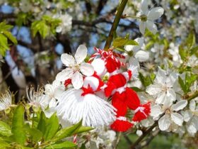 Regali Personalizzati per Gli Amanti del Giardinaggio