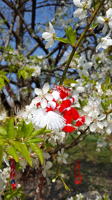 Regali Personalizzati per Gli Amanti del Giardinaggio