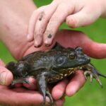 Educazione ambientale tramite la robotica per esterni